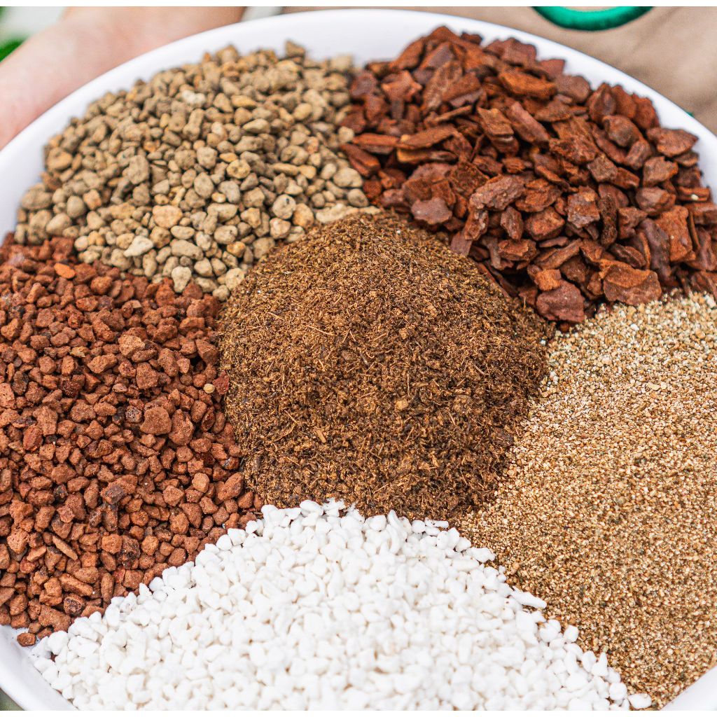 Đất trồng sen đá - Bao chiết từ bao Soil Mix 6kg - Nhanh ra rễ, cây lên màu siêu đẹp | Bloom Garden