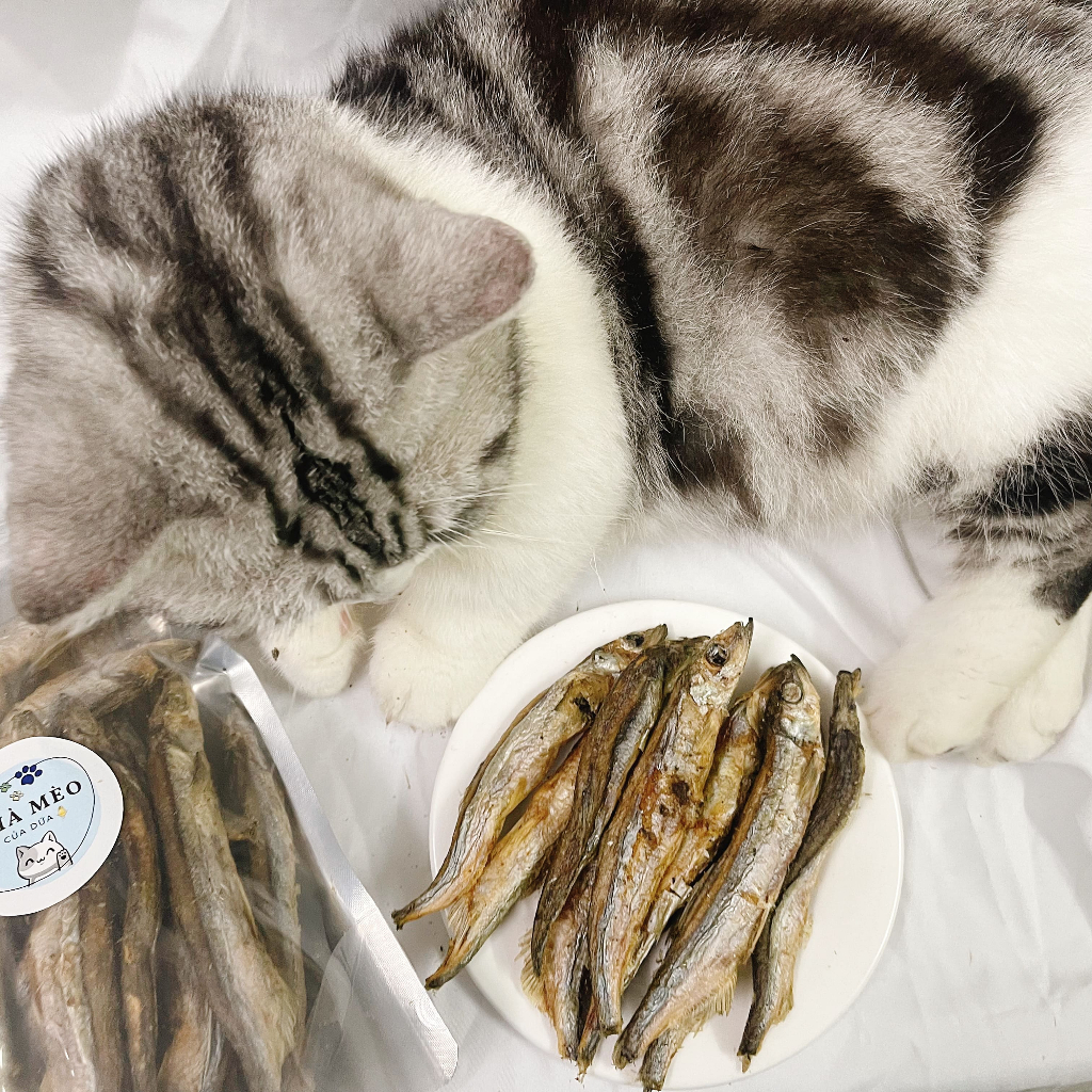 Gói 50g Thịt sấy đông khô cho chó mèo Cá trứng, Gà viên, Gà miếng, Gan sấy, Lòng đỏ trứng giúp chó mèo nhanh béo