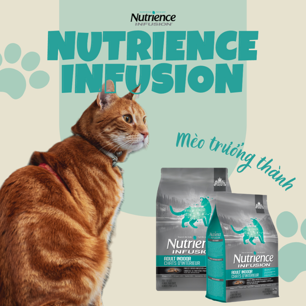 [Nguyên seal 5kg]Thức ăn mèo Nutrience Infusion