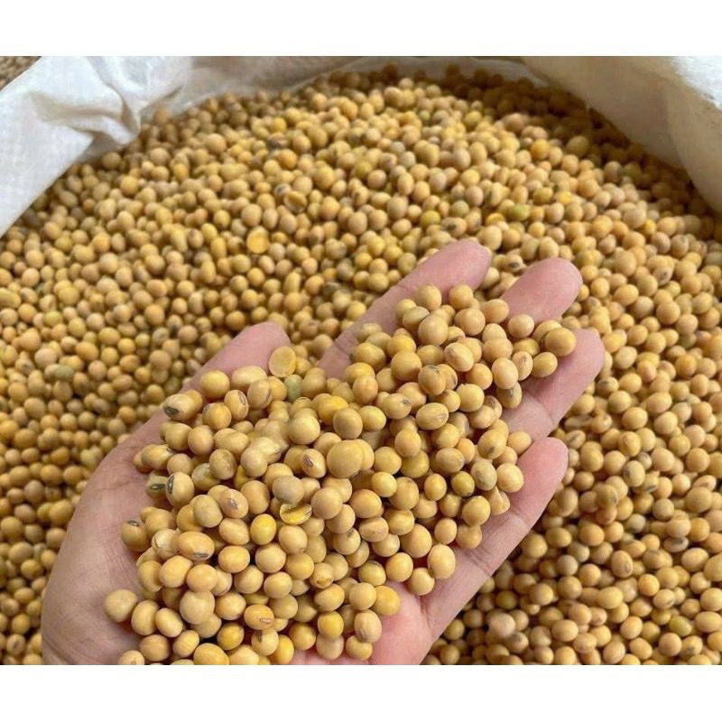 BỘT ĐẬU NÀNH NGUYÊN CHẤT