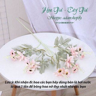 Hoa giả_Hoa Thược Dược Cao Cấp