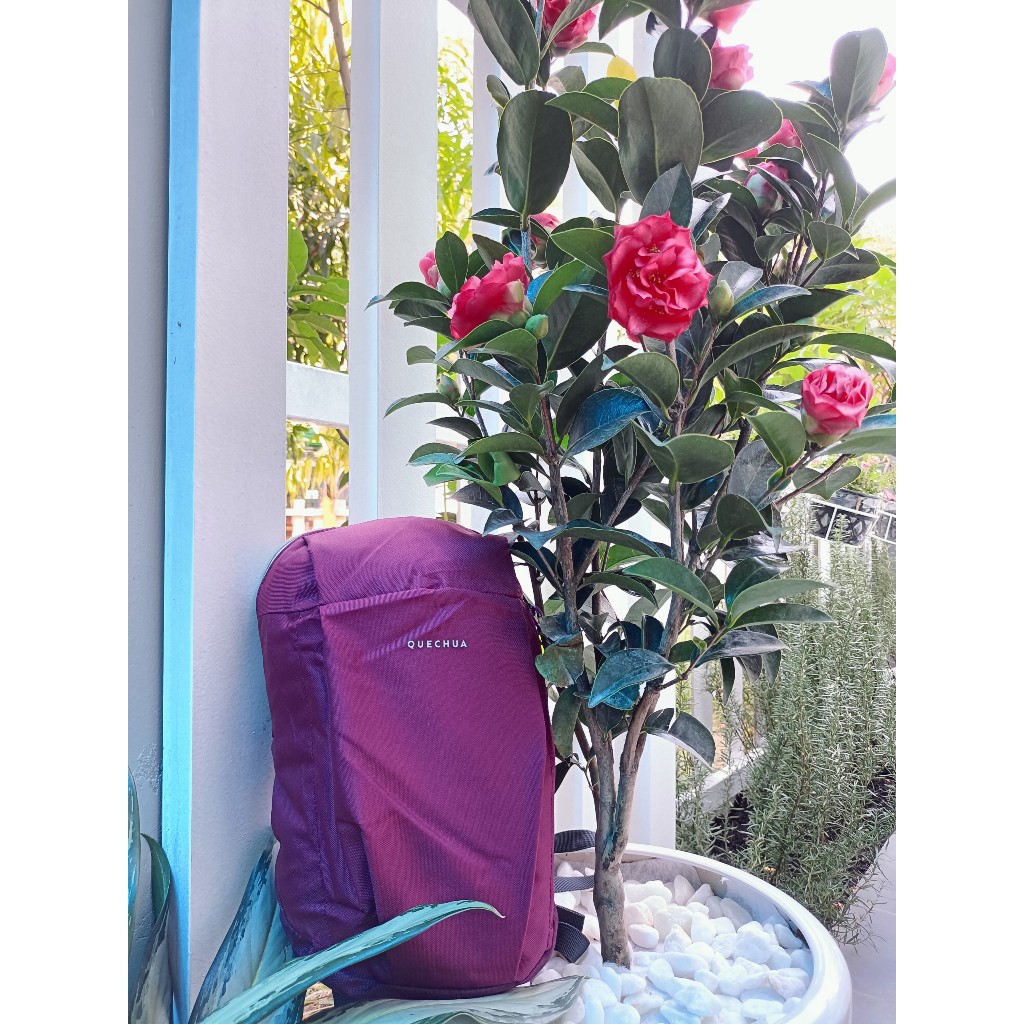 Balô 10L Ba lo đi dã ngoại, du lịch, leo núi hiệu QUE.CHUA NH100 10L - Xanh dương Mirilik Deca