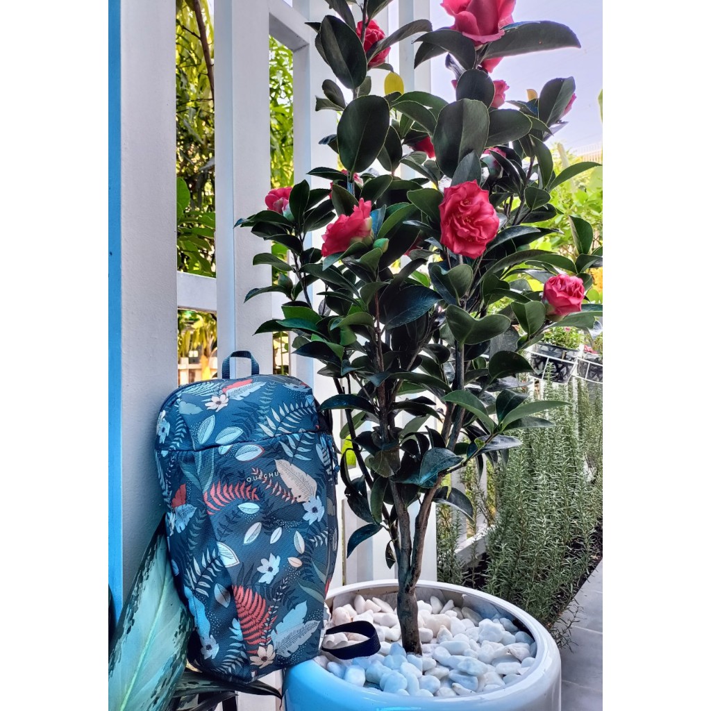 Balô 10L Ba lo đi dã ngoại, du lịch, leo núi hiệu QUE.CHUA NH100 10L - Xanh dương Mirilik Deca