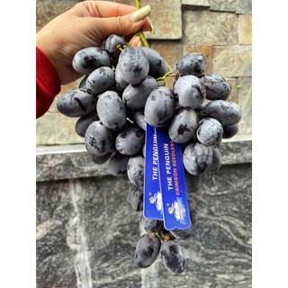 [ HỎA TỐC ] NHO ĐEN trái tròn của mỹ 1KG/250K