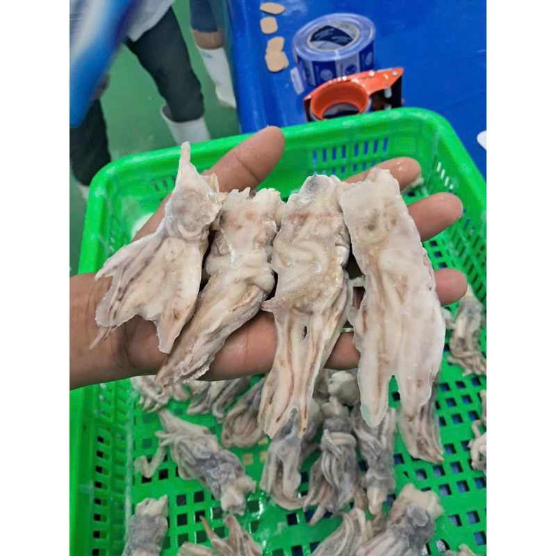 Đầu Mực Mini 1kg