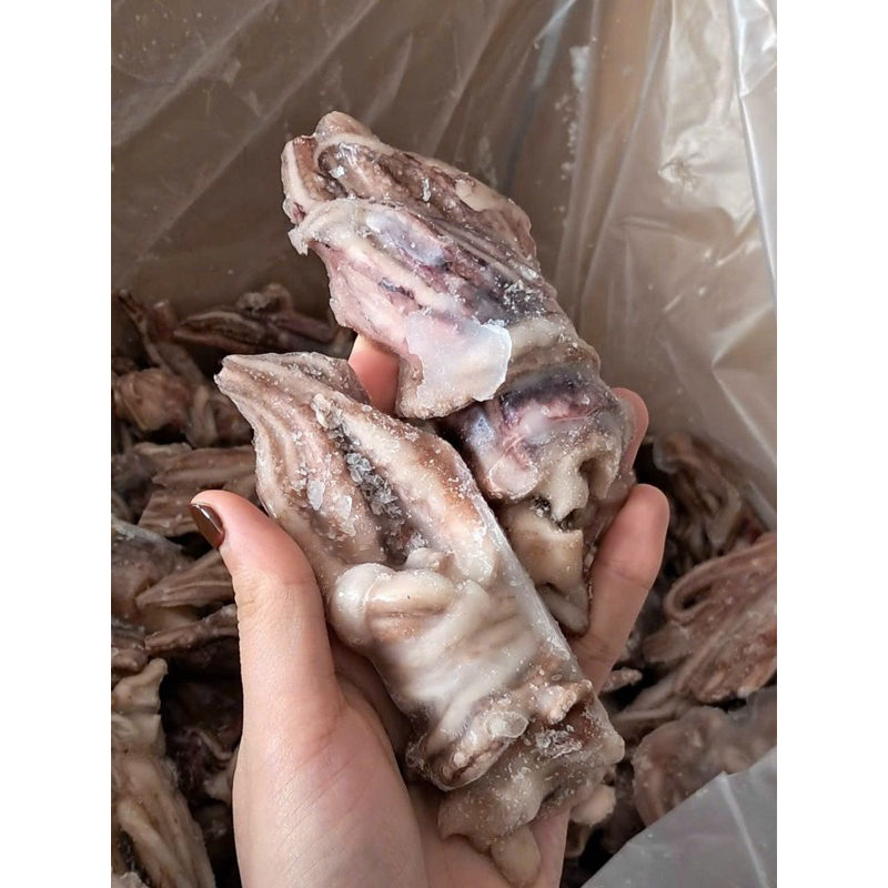 Đầu Mực Mini 1kg