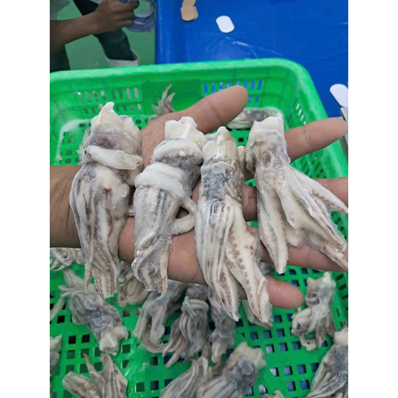 Đầu Mực Mini 1kg