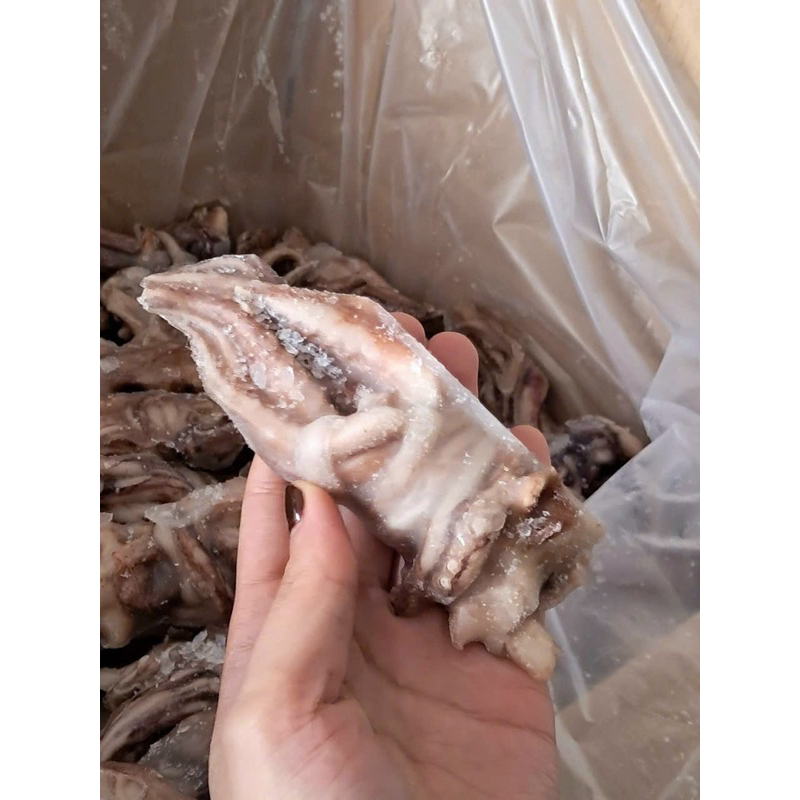 Đầu Mực Mini 1kg