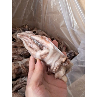 Đầu Mực Mini 1kg net 7 (giao tphcm)