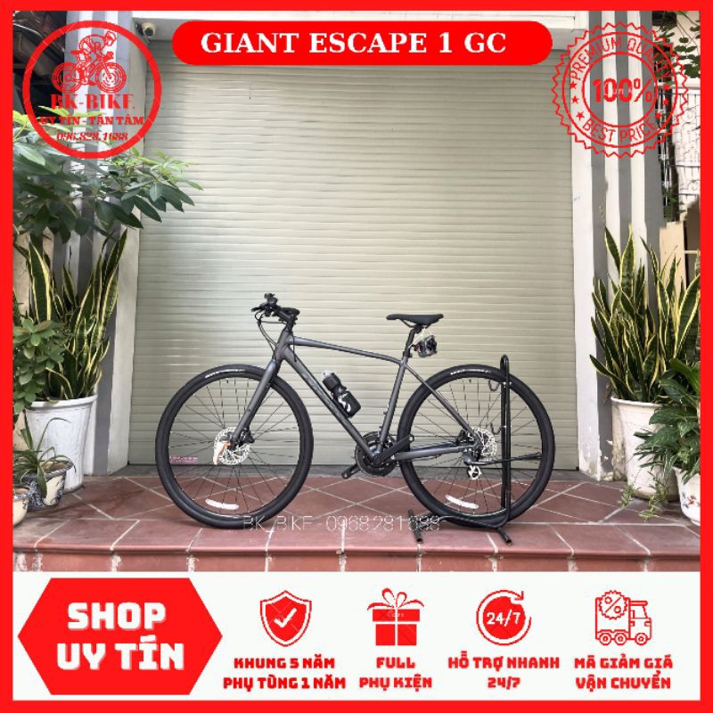 Xe Đạp Giant Escape Disc 1 GC 2024