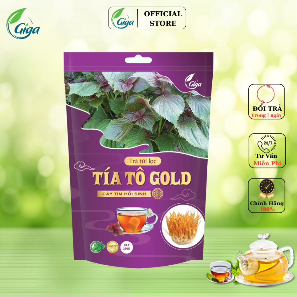 Trà túi lọc tía tô Gold Gigaherbs hỗ trợ điều trị gút, làm đẹp da - túi 250g (60 gói x 4,2gr)