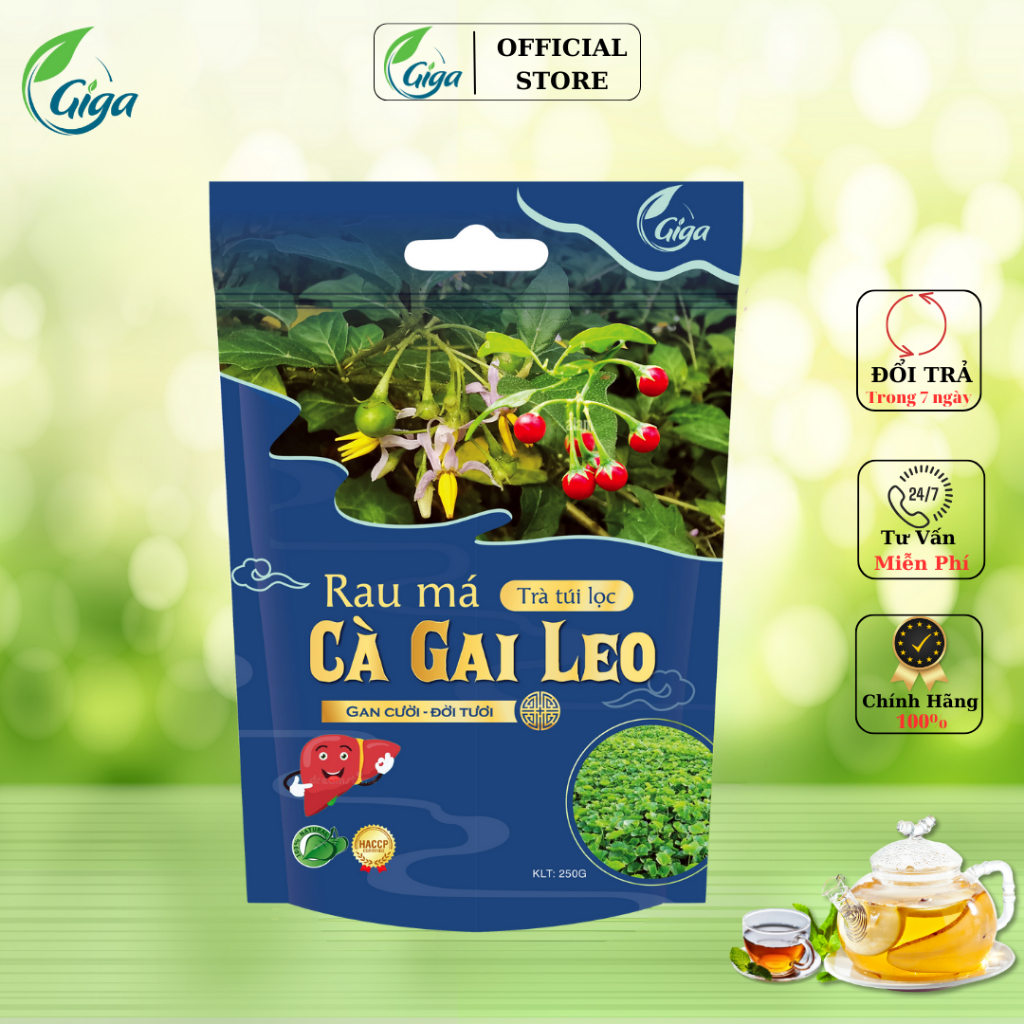 Trà Túi Lọc Rau Má Cà Gai Leo GIGA , Cà Gai Leo - giúp thanh nhiệt, tăng cường chức năng gan, hạ men gan (250g/túi)