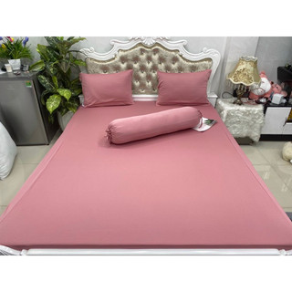 Bộ drap thun màu A+ hàn quốc chất thun mát mịn