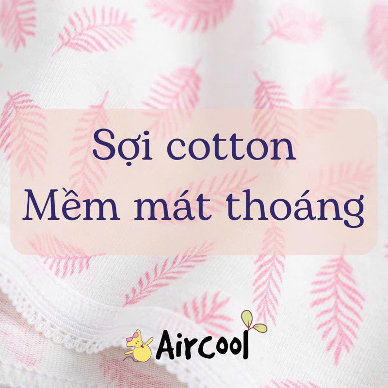 Set hộp quần chip cho bé A.ircool