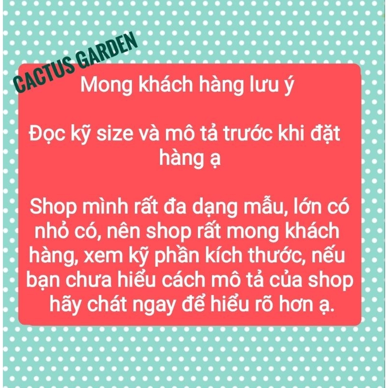 Chậu xi măng cừu