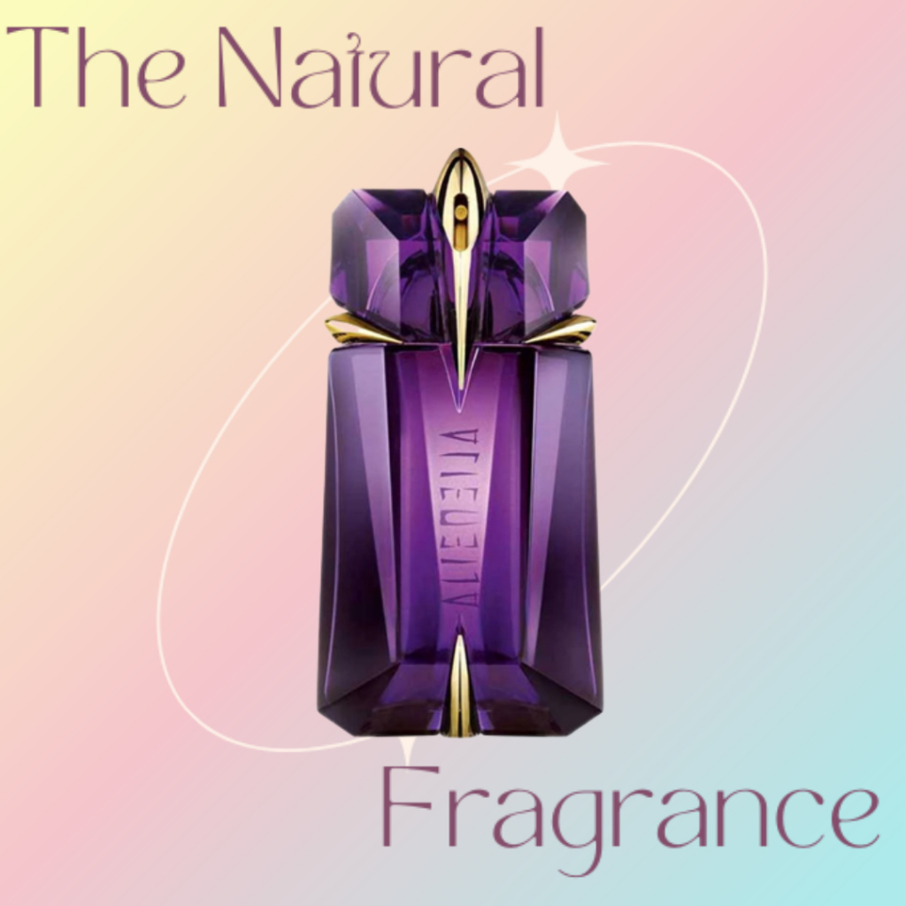 Nước Hoa Nữ 𝐓𝐡𝐢𝐞𝐫𝐫𝐲.𝐀𝐥𝐢𝐞𝐧 5ml/10ml/10ml