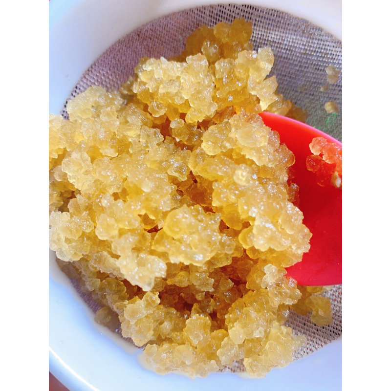 Nấm nước kefir 15gam