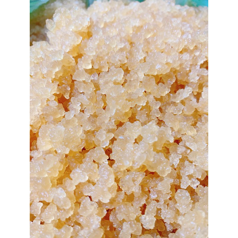 Nấm nước kefir 15gam