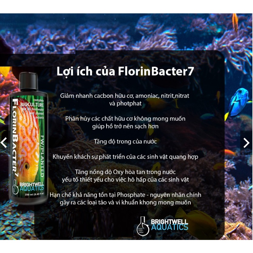 Vi sinh MicroBacter 7 và Florinbacter 7 chuyên dụng cho bể thủy sinh –vi sinh cao cấp Brigh.twell Aqua.tics