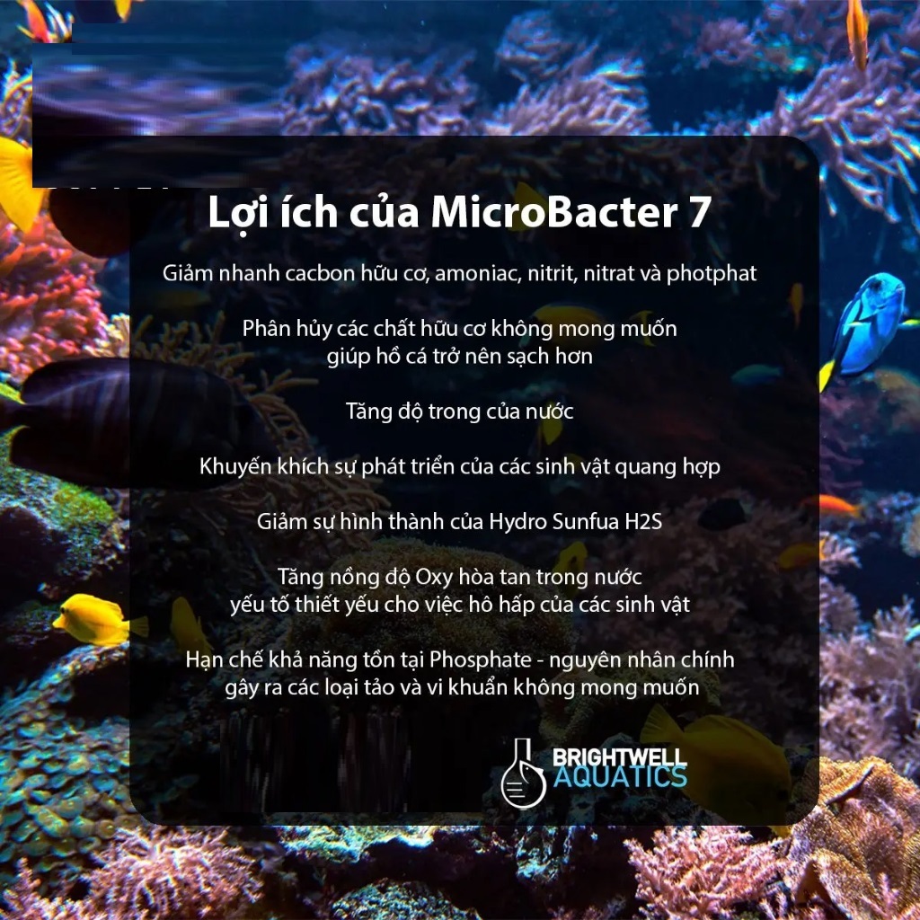 Vi sinh MicroBacter 7 và Florinbacter 7 chuyên dụng cho bể thủy sinh –vi sinh cao cấp Brigh.twell Aqua.tics