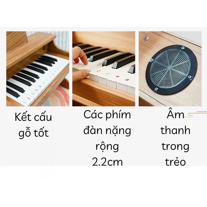 Đàn Piano Mini Cho Trẻ Tập Chơi Đủ Màu Sắc Bằng Gỗ Cao Cấp 25 Phím Gồm Giá Nhạc Và Chân Đế