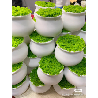 Chậu hoa nhựa mini