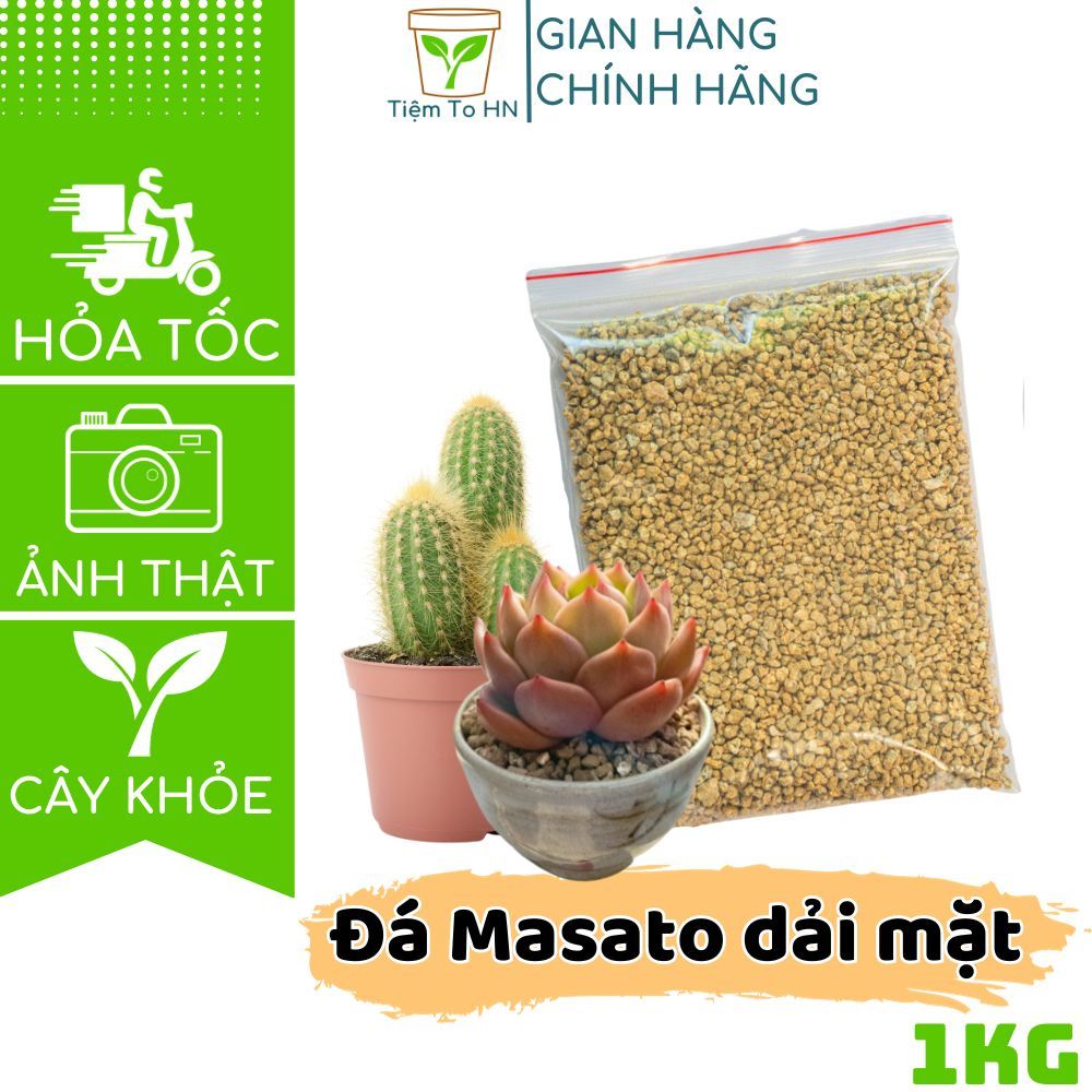 Đá Masato Maifan size 3-6mm 1kg đất trồng sen đá kích thích sen đá lên màu dải mặt chậu, trộn đất trồng đa năng Tiệm To