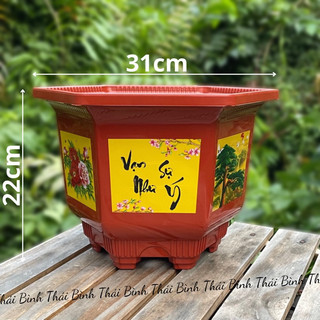   5 Cái  Chậu Nhựa Lục Giác AH310 In  31x22  