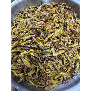 Châu chấu 500g( chưa rang)