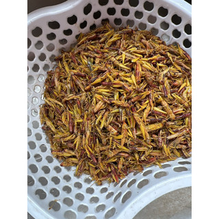 Châu chấu 500g( chưa rang)