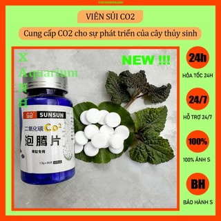 Viên sủi co2 cho cây thủy sinh