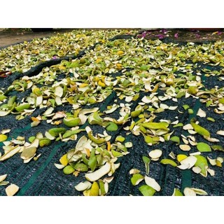 DẦU GỘI BƯỞI NON