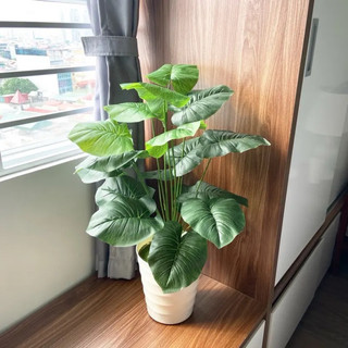 Cây giả trang trí - cây trầu bà giả cao 80cm gồm 18 tàu lá decor siêu đẹp