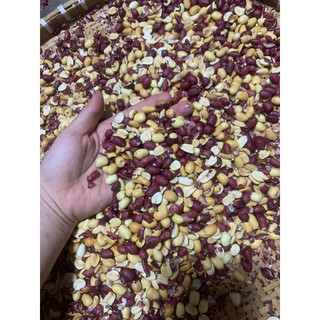500g lạc đỏ(đậu phộng đỏ) Nam Định