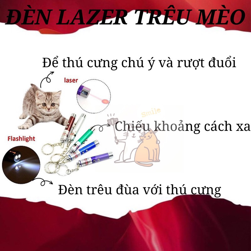 Đèn lazer trêu mèo