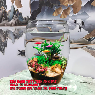 Bình thủy tinh nuôi cá để bàn quả dưa, chậu cá thủy tinh mini, bình thủy tinh trồng cây thủy sinh