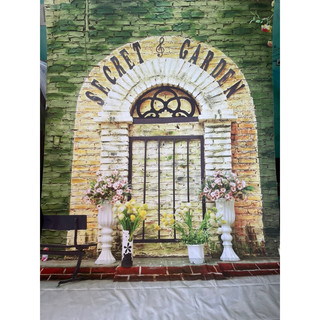 Phông nền chụp ảnh 2m x 3m