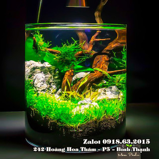 Bình bông thủy tinh trang trí D20x20, Bình cắm hoa thủy tinh trụ, lọ hoa hình trụ, trụ đổ đèn cầy, ống trụ tròn