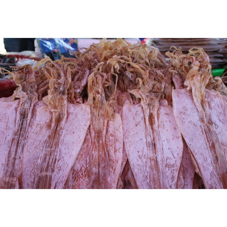 Cá mực khô cao cấp to ngon giá rẻ chuẩn câu loại 1 16 con/ 1kg báo giá rẻ nhất hàng cát bà cô tô vân đồn
