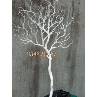 Cành cổ giả trang trí - Cành San Hô/Cành sương trắng  trang trí sự kiện-kt 90 cm-trang trí sinh nhật