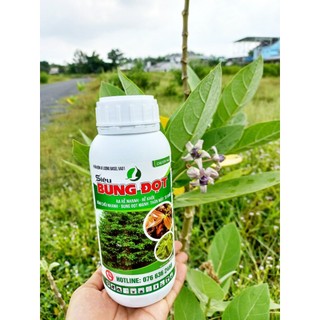 Siêu bung đọt mai 500ml - đâm chồi, kích rễ mai vàng