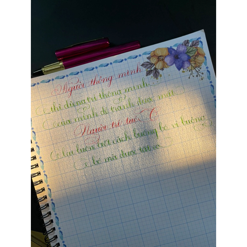 Bút máy Kimngocpens No1F ngòi lá tre bút máy luyện chữ đẹp nét thanh nét đậm viết calligraphy bút mực bút cho học sinh