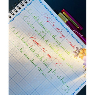 Bút máy Kimngocpens No1F ngòi lá tre bút máy luyện chữ đẹp nét thanh nét đậm viết calligraphy bút mực bút cho học sinh