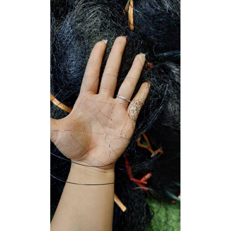 LƯỚI RẼ GIUN MẮT 8P CAO 75 MẮT