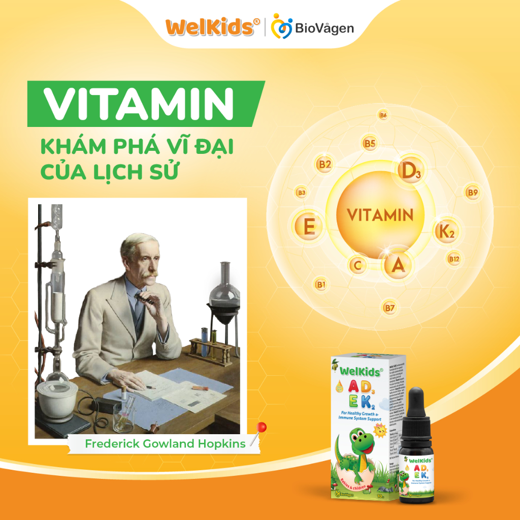 Combo phát triển toàn diện gồm 1 lọ vitamin ADEK Welkids 10ml + 1 lọ men vi sinh Biogaia Protectis Drops 5ml