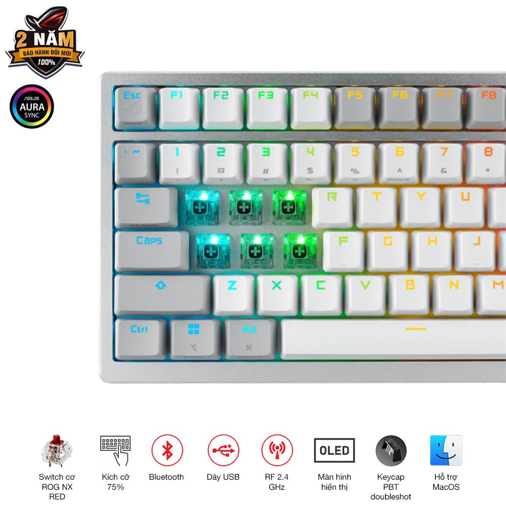 Bàn phím cơ ASUS gaming custom không dây ROG AZOTH màu trắng| kích thước 75%| ROG NX Switch độc quyền RED/BLUE