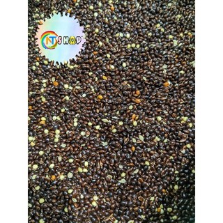 0.5kg ~ 1kg hạt kê đen giành cho chim vẹt, yến phụng ,lovebird, manh manh, yến hót, cu gáy, hamster,..