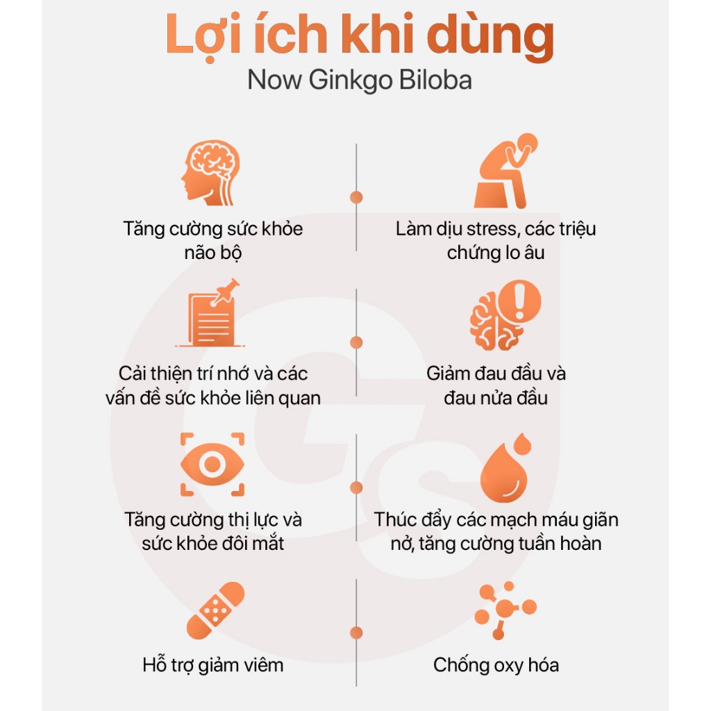 Viên uống bổ não của Mỹ Now Ginkgo Biloba (240 viên) cải thiện trí nhớ, tăng tuần hoàn máu não