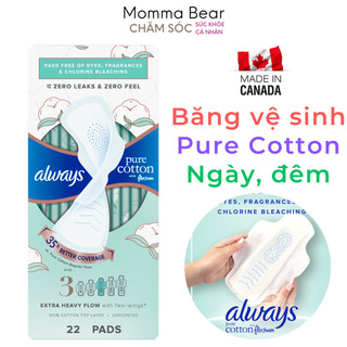 Băng vệ sinh Always Pure Cotton - Flexfoam, ngày đêm, có cánh, mỏng, thấm hút, hàng Mỹ - Momma Bear