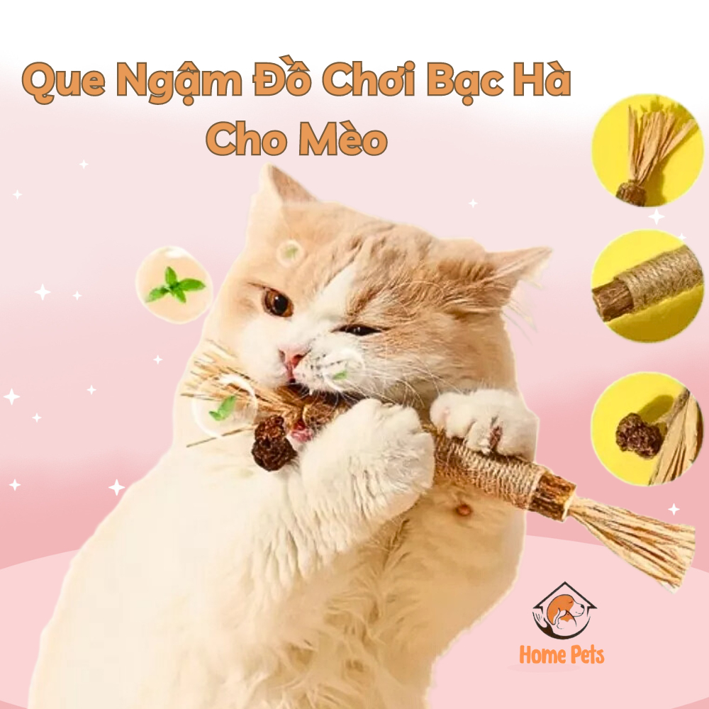 Đồ Chơi Que Gặm Bạc Hà Cho Mèo, Que Đồ Chơi Mài Răng Cho Thú Cưng Với Bạc Hà Quả Mật Cho Mèo Phê Pha